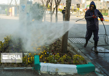 عزم سمن‌های گلستان برای مقابله با شیوع کرونا