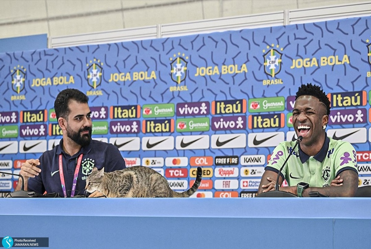 شکایت از یک برزیلی به خاطر گربه آزاری در جام جهانی + عکس و ویدیو