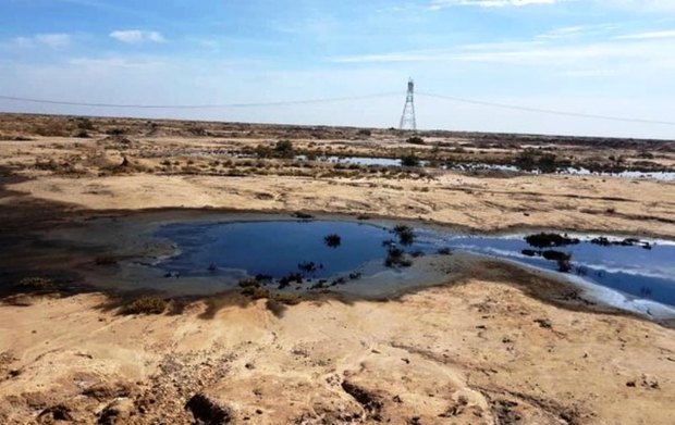 ضایعات نفتی محیط زیست ماهشهر را آلوده کرده است