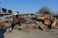 تورهای پاره، سهم صیادان از ماهیگیری پس از سیل در مازندران (9)