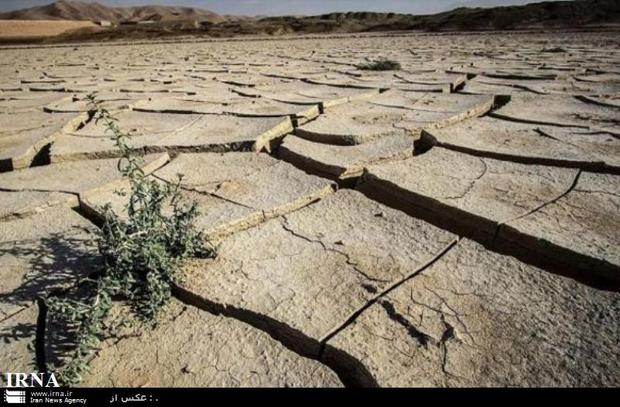 خشکسالی، غصه مردمان مرزدار سرزمین نخل و آفتاب