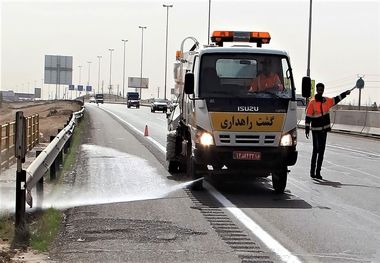 لاشه دو هزار حیوان ماهانه از جاده‌های خراسان رضوی جمع می‌شود