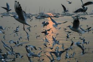 منتخب تصاویر امروز جهان- 24 دی 1400