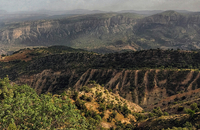 گشت با جنگل بانان برای مبارزه با قاچاق چوب و زغال