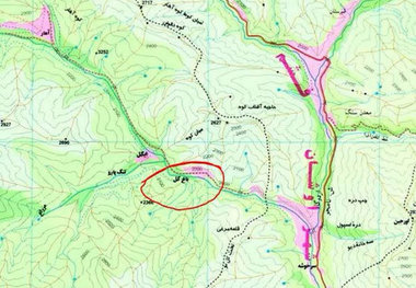 کشته شدن یک سگ نگهبان خانه در شمیرانات توسط یک خرس!