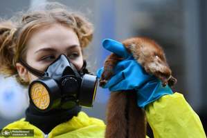 منتخب تصاویر امروز جهان- 22 آبان