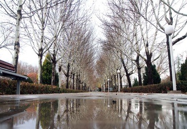 ارومیه با بارش برف به استقبال زمستان رفت