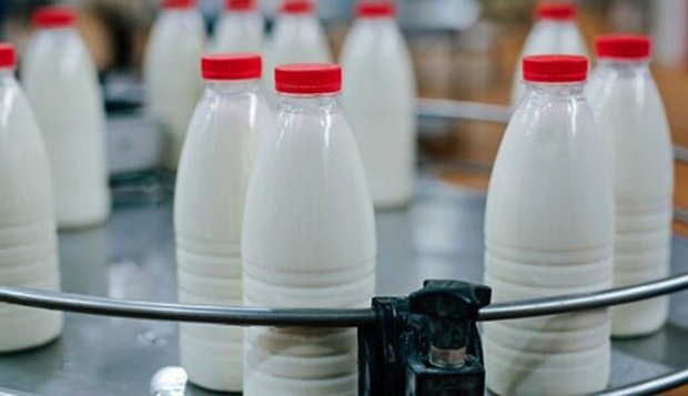 مجلس با گران شدن شیر موافقت کرد/ کمیسیون کشاورزی: دولت باید به دامداران یارانه بدهد