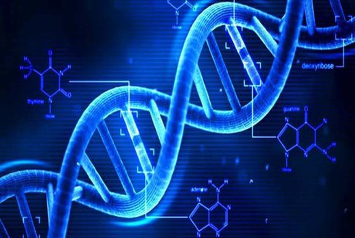 
علل ژنتیکی سه بیماری نادر کشف شد