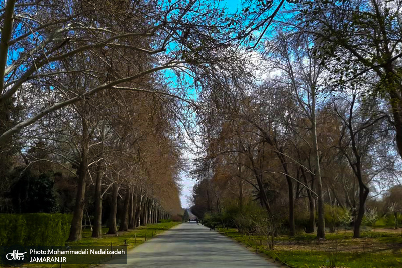 باغ گیاه شناسی ملی ایران