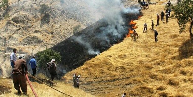 چهار عامل انسانی برای آتش سوزی چوار شناسایی شدند