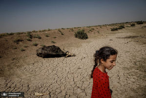 منتخب تصاویر امروز جهان - 26 مرداد 1401