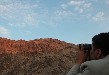 آغاز سرشماری حیات وحش در قم برخورد قاطع با شکارچیان در مناطق حفاظت شده