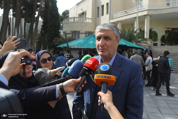 رئیس سازمان انرژی اتمی: ایران فعالیت پنهانی هسته‌ای نداشته/ بازرسان آژانس، تأسیسات هسته‌ای را به طور مستمر بازرسی می‌کنند/ مذاکرات وارد جزییات نشده است