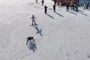 ربات چینی اسکی بازی می کند!