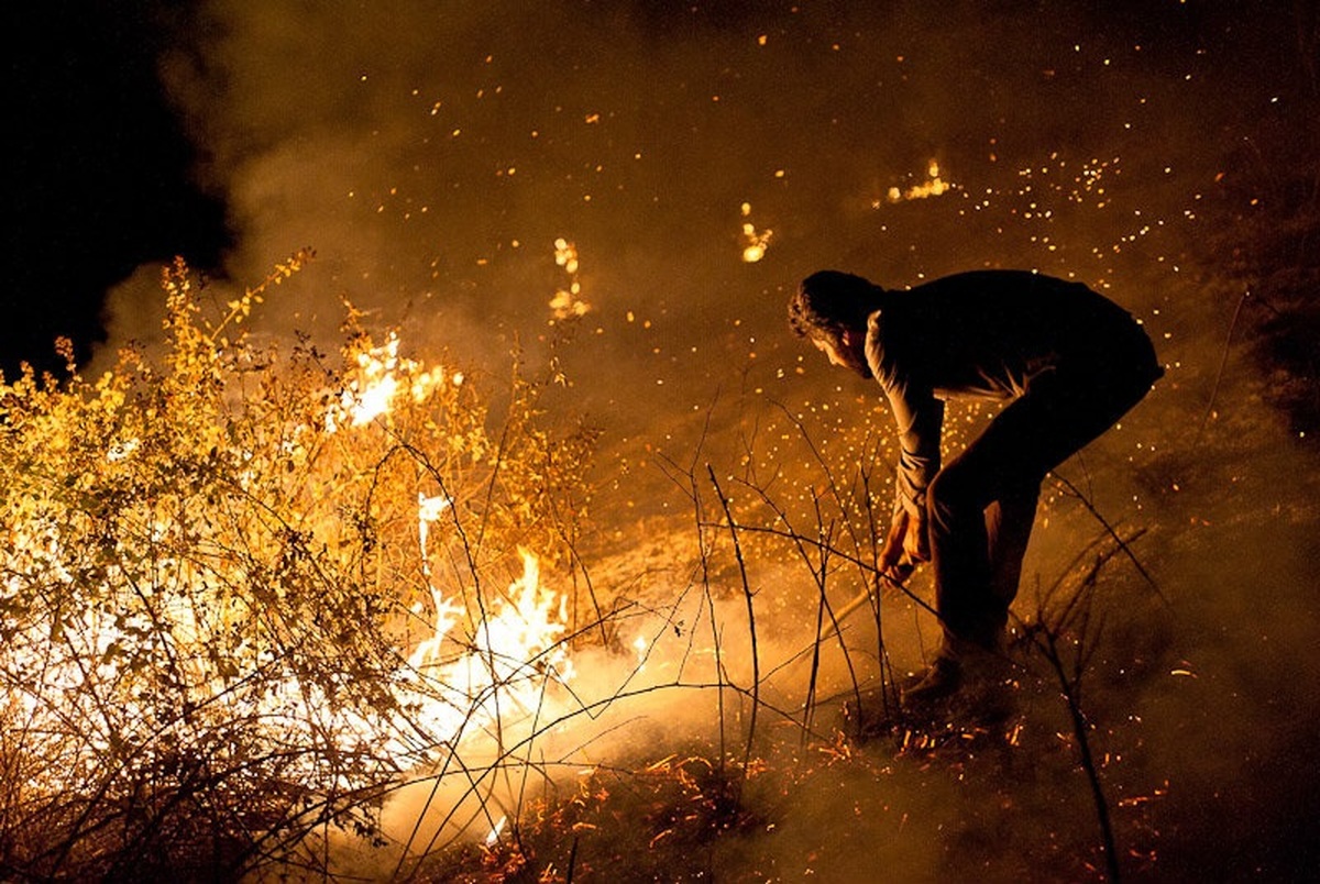 ۷۰ درصد آتش‌سوزی‌ جنگل‌ها سهوی است