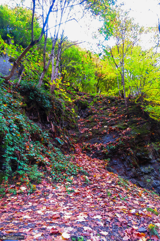 آبشار لونک دیلمان