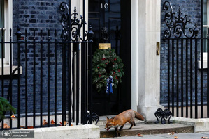 منتخب تصاویر امروز جهان - 16 آذر 1401