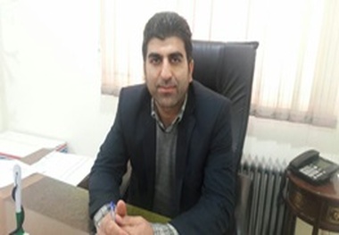 مدیرشرکت توزیع برق پلدختر: شبکه‌های برق قربانی اختلافات و نزاع‌ها در پلدختر شد