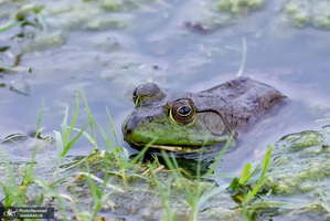 منتخب تصاویر امروز جهان - 28 اردیبهشت 1401