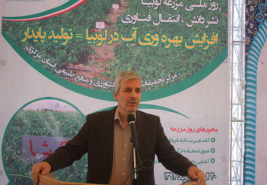 تراز تجاری بخش کشاورزی 5 و نیم میلیارد دلار بهبود یافت