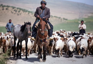 کوچ بهاره عشایر از گلستان آغاز شد