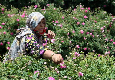 تشدید نظارت بر تسهیلات طرح‌های اشتغال روستایی در زنجان