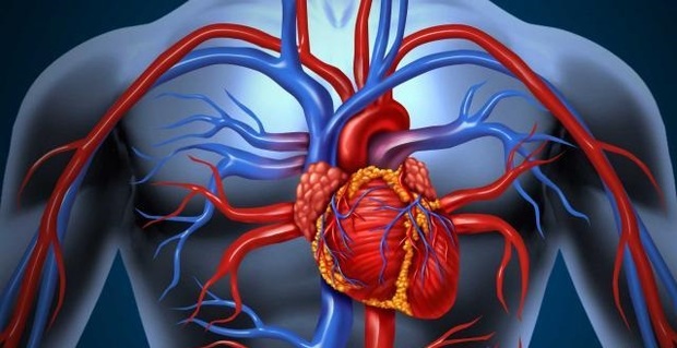 روش های کاربردی برای بهبود عملکرد قلب