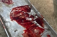 قتل‌عام ۳ خانواده فلسطینی در غزه توسط اسرائیل (4)