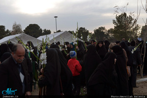 میهمانی لاله‌ها در بهشت زهرا(س) 