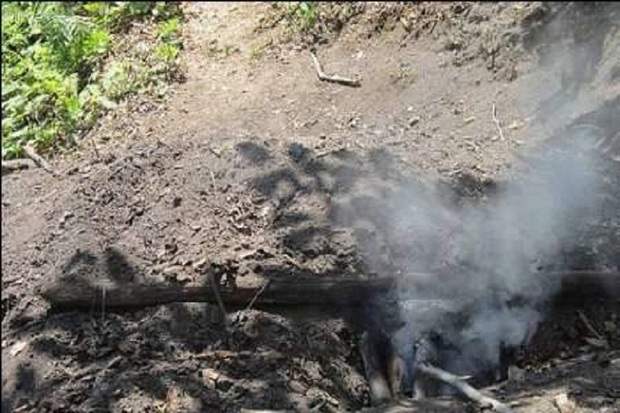 9 کوره زغال در جنگل های آستارا تخریب شد