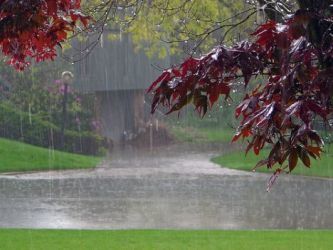 بارش هفت میلیمتری باران دراستان کرمانشاه کاهش 4 درجه ای دما درشهرهای مختلف