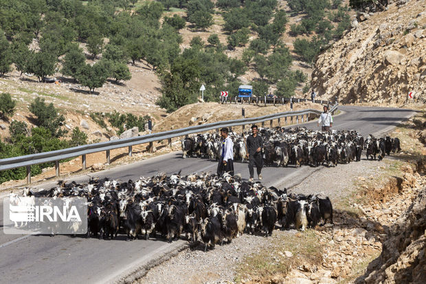 ورود و خروج عشایر تحت نظارت منابع طبیعی انجام می‌شود