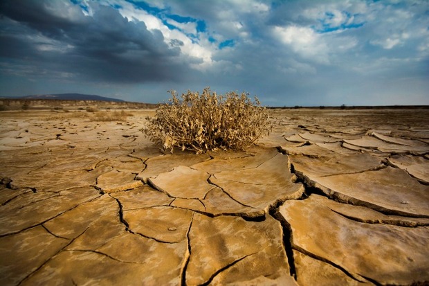 آثار خشکسالی در بخش جنوبی البرز شدید است