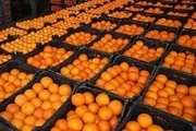پرتقال، سیب و کیوی در بازار اصفهان گران شد  جمع‌آوری پرتقال‌های رنگ شده از بازار