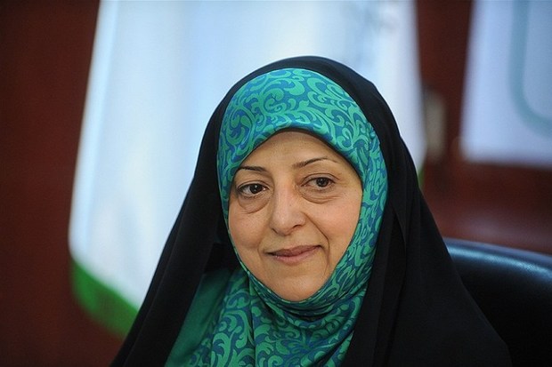 معاون رئیس جمهوری از نمایشگاه اقوام درالبرز بازدید کرد