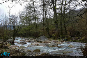 روستای امام زمین تنکابن 