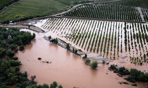 بلایای طبیعی ۱۶ هزار میلیارد ریال به کشاورزی خراسان رضوی خسارت زد