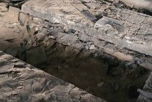 افراد ناشناسان قبر حافظ اسد را نبش کرده و بقایای جسد او را به مکان نامعلومی منتقل کردند