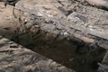 افراد ناشناسان قبر حافظ اسد را نبش کرده و بقایای جسد او را به مکان نامعلومی منتقل کردند