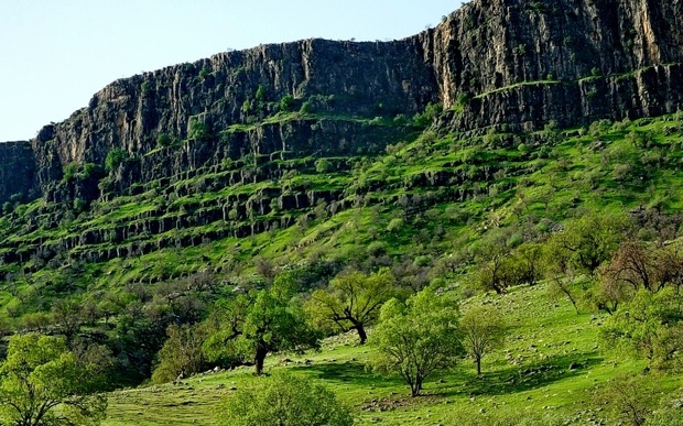 41 طرح گردشگری کهگیلویه و بویراحمد به بخش خصوصی واگذار می شود