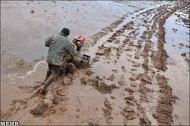 شخم زمستانه در مزارع برنج شهرستان رودسر گیلان