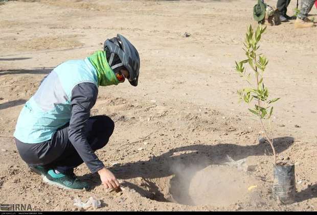 طرح جنگلانه در اسدآباد اجرا شد