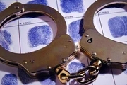 دستگیری دوقلوهای سارق که به 50 منزل دستبرد زدند
