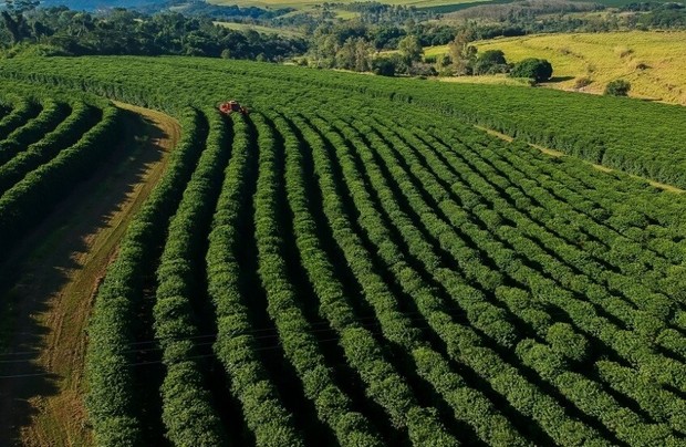 محصولات انگور، قهوه و کاکائو با چالش‌های اقلیمی بزرگی مواجه هستند