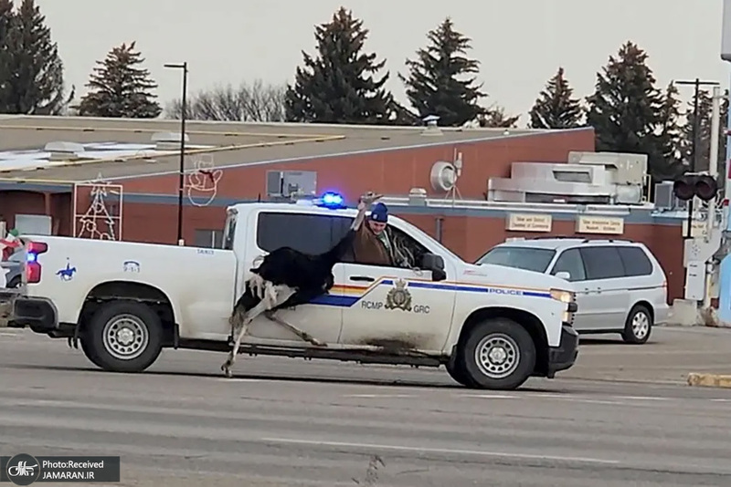 منتخب تصاویر امروز جهان - 5 آذر 1401