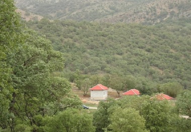 کمپینگ اقامتی پارک جنگلی یاسوج آماده واگذاری است