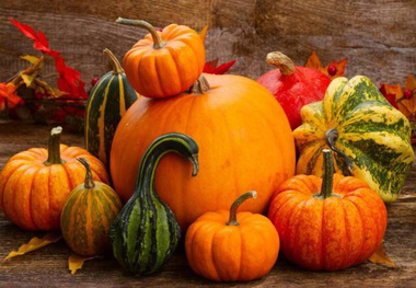 جشنواره کدو در پیاده راه فرهنگی رشت آغاز شد