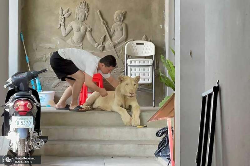 منتخب تصاویر امروز جهان- 7 تیر 1400