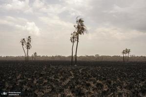 منتخب تصاویر امروز جهان- 11 اسفند 1400